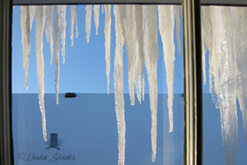 icicles-Saint Paul-Staats