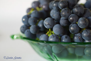 Concord grapes_Staats