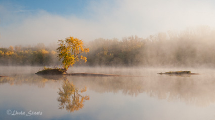 Single tree island,early autumn 63751_Staats