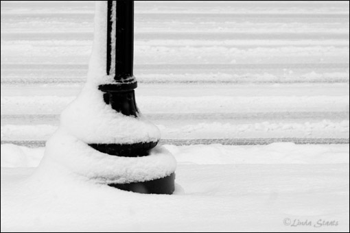 Snow tracks & light pole 70564_Staats