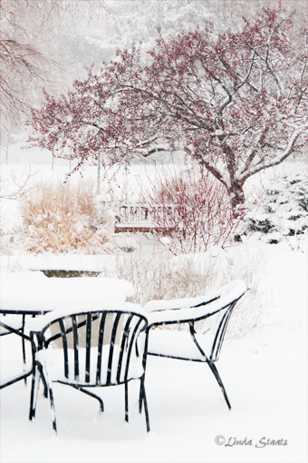 Winter dining 70480_Staats