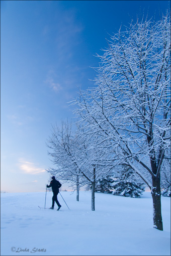 Greeting the morning_Staats