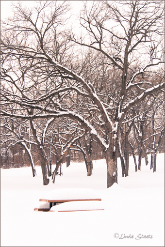 Picnic in the snow 7D-0867_Staats