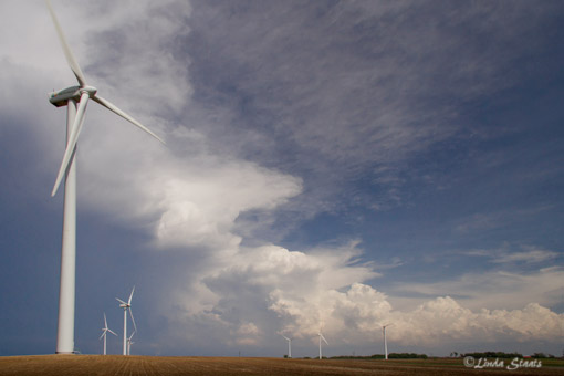 Wind and weather 7D_1628_Staats