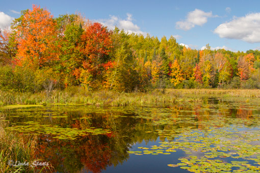 Wisconsin fall 7D3485_Staats