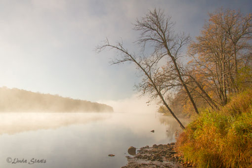 Fog at dawn on St Croix River_Staats 3713