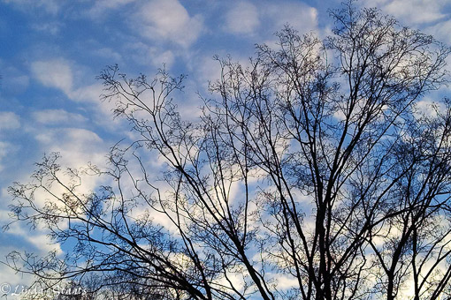 Greeting to the day_Staats