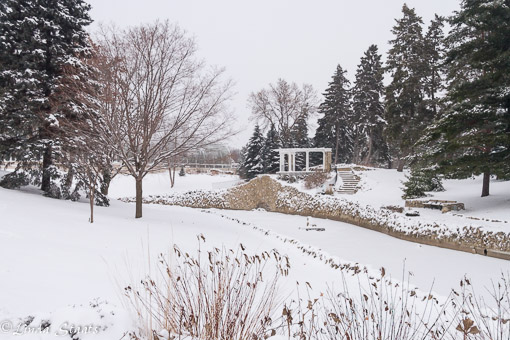 Winter at Como Park_Staats