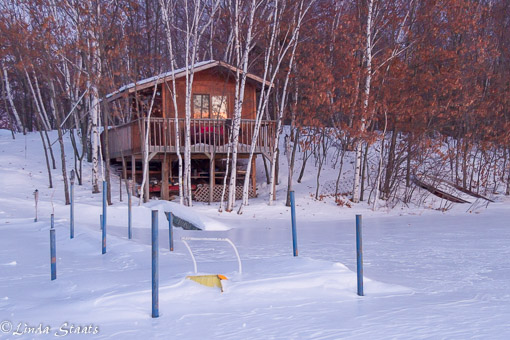 Waiting for spring 4749_Staats