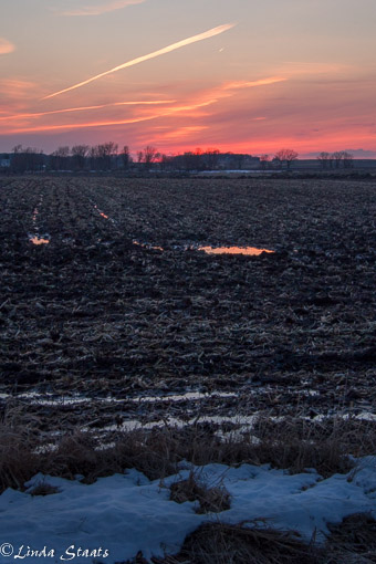 Sunset over farmfield_Staats