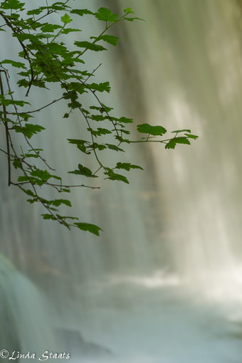 Morning light at Hidden Falls
