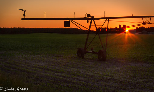 Pivot sunset 5748 49_Staats