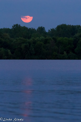 July's full moonrise_Staats