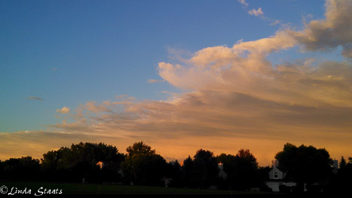 After the rainstorm_Staats