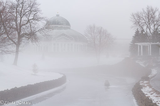 Fog in the morning McNelly Conservatory 7917_Staats