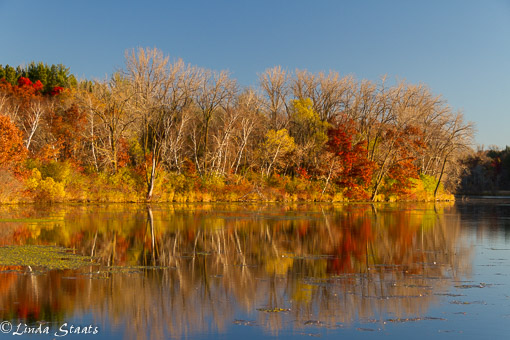 Morning light 7618_Staats