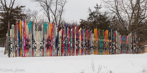 Ski fence_Staats 8601