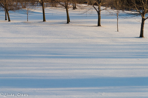 Winter lines at sunset 8802_Staats