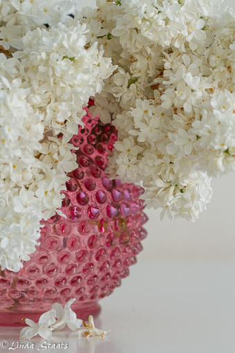 White lilacs_Staats-9590