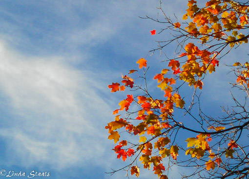 Fall in the air 20150909_185659 Staats