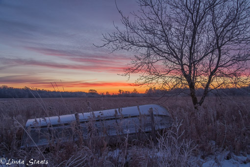 Hoarfrost sunrise_Staats 11721