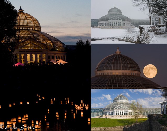 McNeely Conservatory 100th anniversary