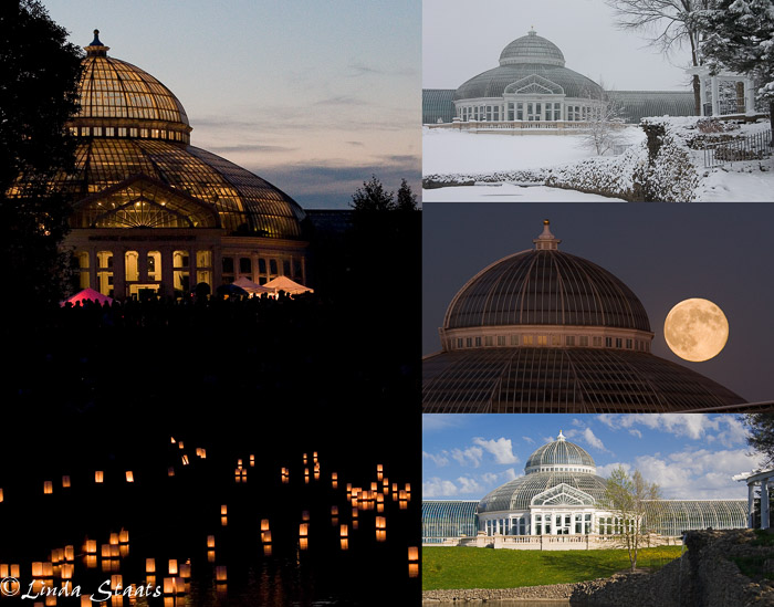 McNeely Conservatory 100th anniversary