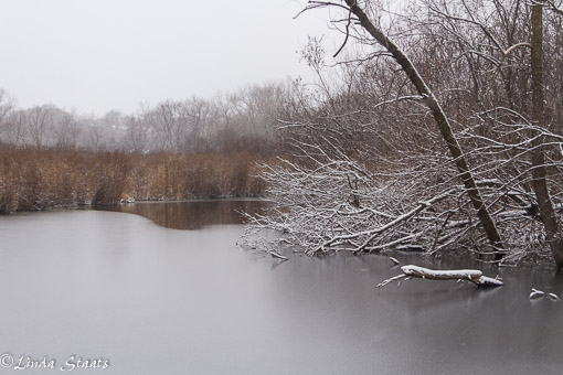 Moving to winter 11780_Staats (1 of 1)