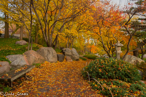 Ordway Japanese garden fall 11379_Staats