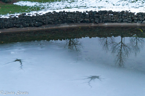 Open water and ice 11812.2_Staats (1 of 1)