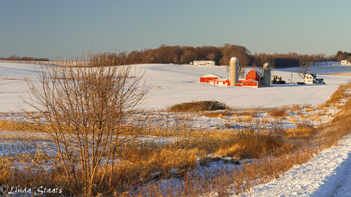 Farmland snow_Staats 12034