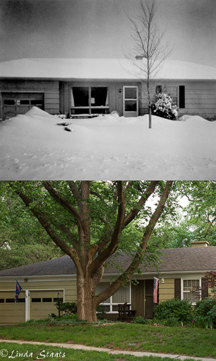 House of memories_Staats