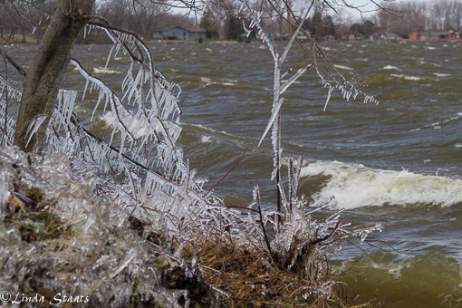 Winter waves Cannon Lake 12691_Staats
