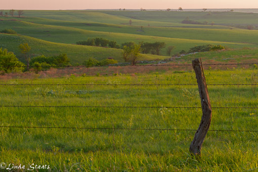 KS Flint Hills at sunset_Staats 13167