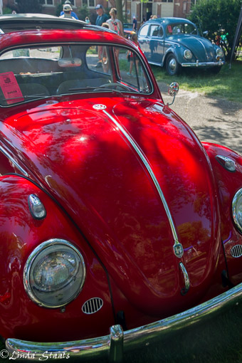 Volkswagen Beetle_13525 Staats