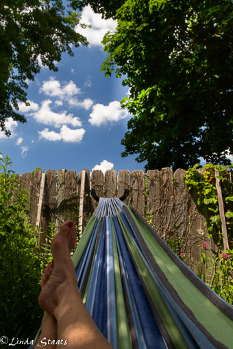 Summer from the hammock_13599 Staats