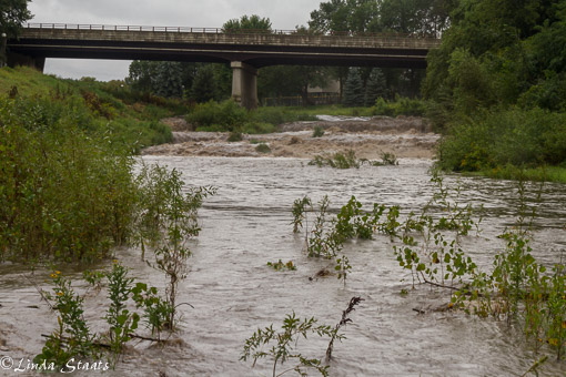 Cannon Falls_13763 Staats