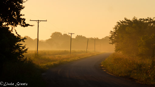 County road sunrise7D_13742_Staats