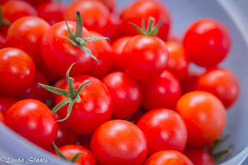 cherry-tomatoes-13944_staats