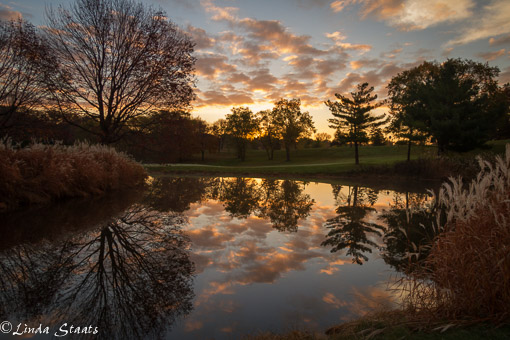 autumn-sunrise-como-park_14461-staats
