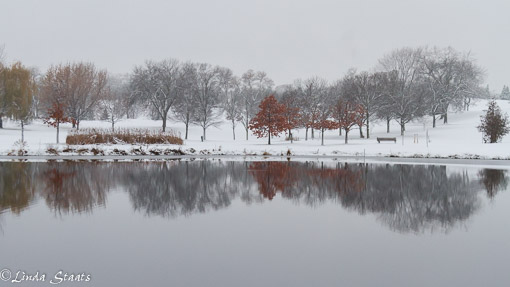 winter-stillness-and-reflection_15035-staats