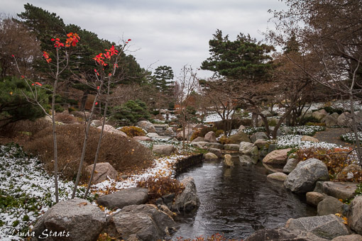 winters-arrival-ordway-japanes-garden_14930-staats