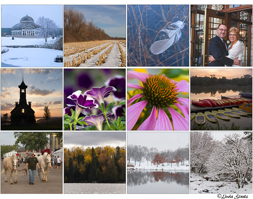 12-photos-of-2016_staats