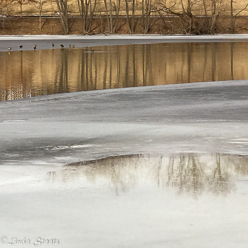 early-feb-thaw-at-como-lake_cp1690_staats