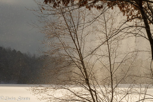 Backlit blowing snow 21409_Staats