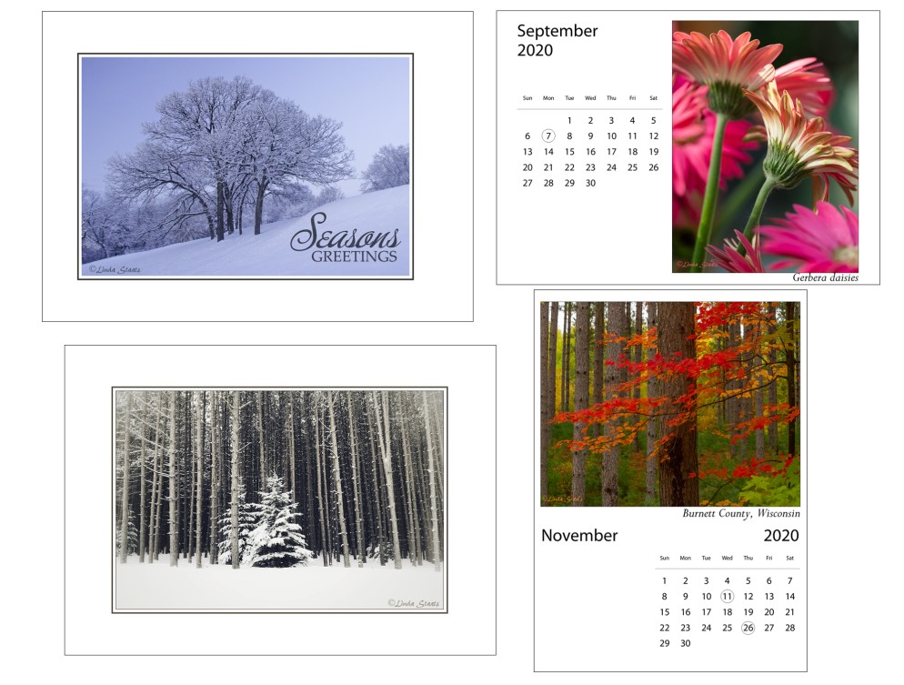 Staats_holiday cards_calendars 2019_2020